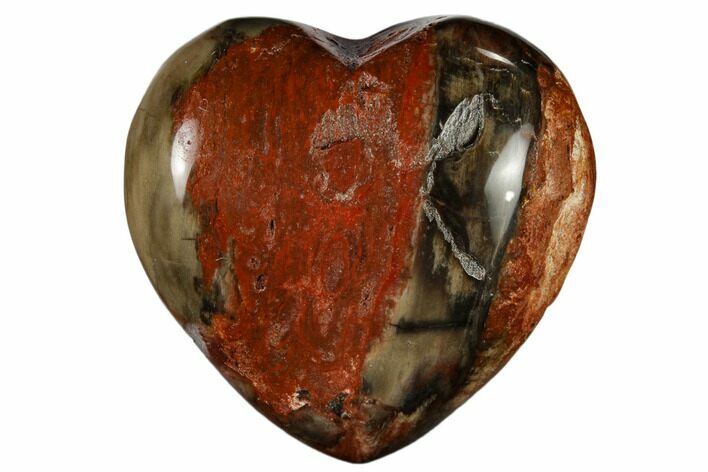 Polished, Triassic Petrified Wood Heart - Madagascar #115512